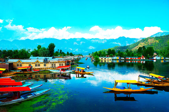 Jammu & Kashmir