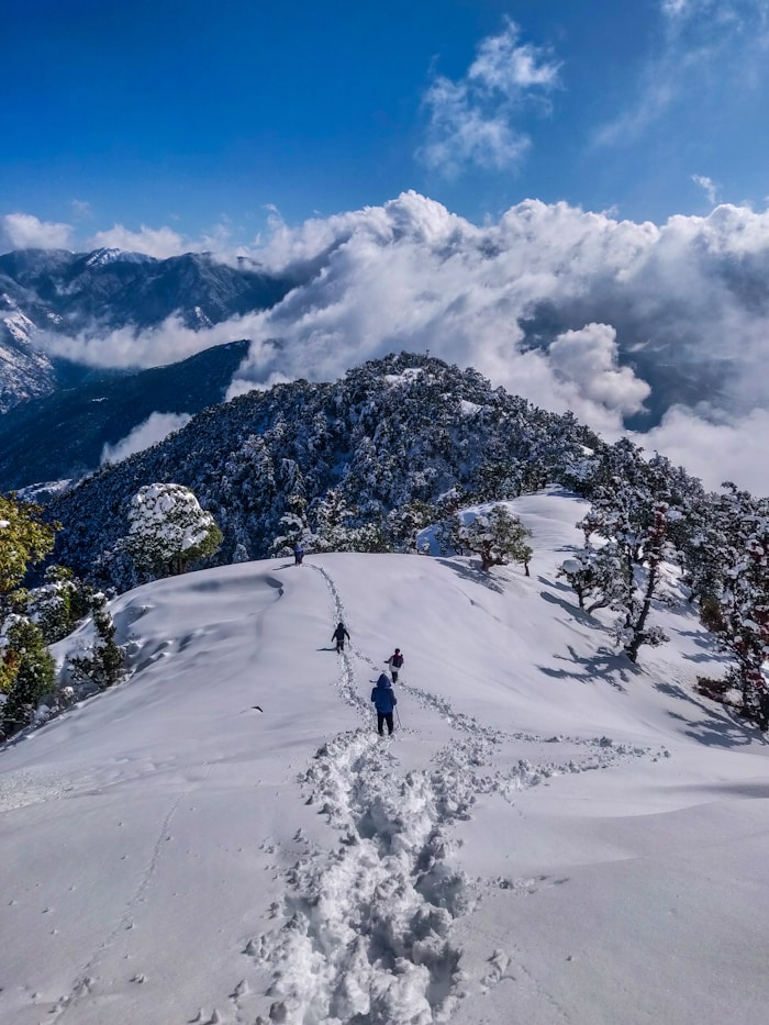 Shimla & Kufri