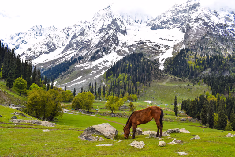 Kashmir Valley